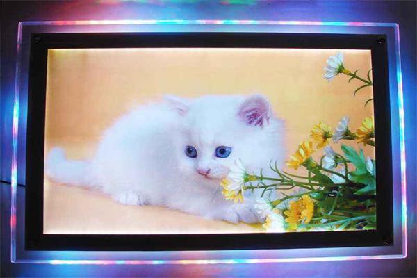 張家口水晶燈箱制作